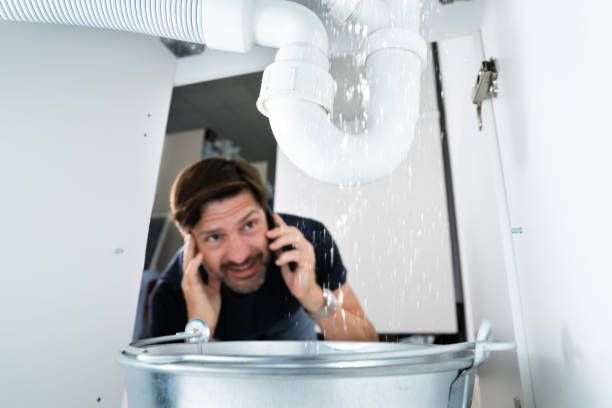 Best Local Plumber Services  in Elm Creek, TX